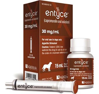 ENTYCE® FLAVORED ORAL SOLUTION FOR DOGS 15 ML 1/PKG (RX)