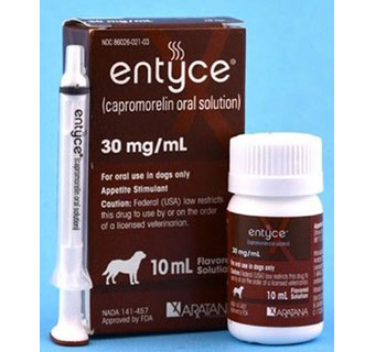 ENTYCE® FLAVORED ORAL SOLUTION FOR DOGS 10 ML 1/PKG (RX)