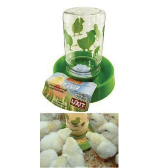 BABY CHICK FEEDER/FOUNT 32 OZ GREEN PLASTIC