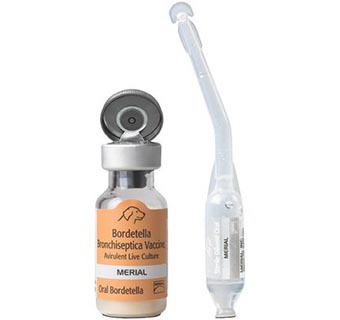 RECOMBITEK® ORAL BORDETELLA 25 X 1 DOSE