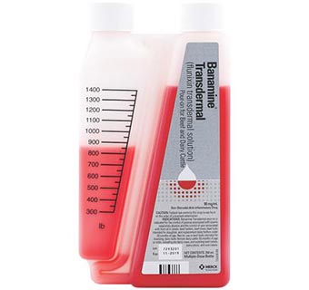 BANAMINE® TRANSDERMAL 250 ML (RX)