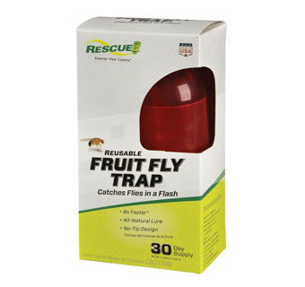 BULK BOX FRUIT FLY TRAP 1/PKG