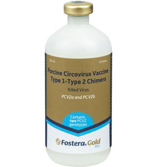 FOSTERA™ GOLD PCV 50 DOSES (100 ML)