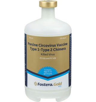 FOSTERA™ GOLD PCV 250 DOSES (500 ML)
