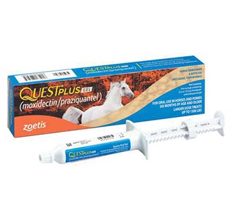 QUEST® PLUS EQUINE ORAL GEL 14 G SYRINGE