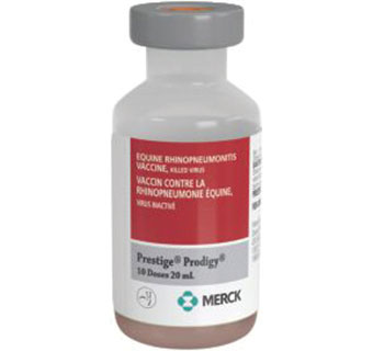 PRESTIGE® PRODIGY 20 ML 1/PKG