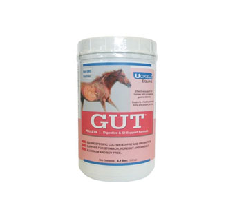 GUT™ EQUINE DIGESTIVE/GI TRACT SUPPORT PELLETS 2.7 LB
