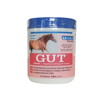 GUT HEALTH POWDER FOR HORSES 2 LB 1/PKG