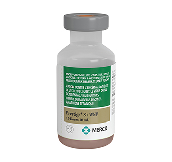 PRESTIGE® 3 + WNV 10 ML