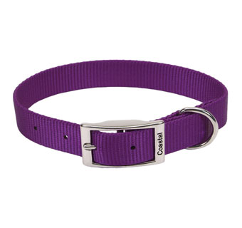 00901 SINGLE-PLY DOG COLLAR NYLON 18 IN X 1 IN PURPLE