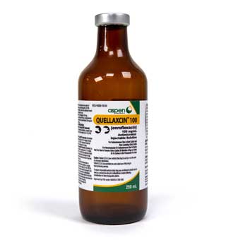 QUELLAXCIN™ 100 (ENROFLOXACIN) ANTIMICROBIAL INJECTABLE SOLUTION 250 ML (RX)