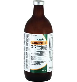 QUELLAXCIN™ 100 (ENROFLOXACIN) ANTIMICROBIAL INJECTABLE SOLUTION 500 ML (RX)