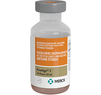 PRESTIGE® 3 1 X 10 ML