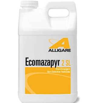 ECOMAZAPYR 2 SL HERBICIDE 2.5 GAL