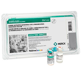 NOBIVAC® EDGE® DAPPV 25 X 1 DOSE