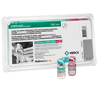 NOBIVAC® EDGE® DAPPV+L4 25 X 1 DOSE