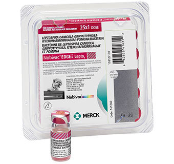 NOBIVAC® EDGE® LEPTO4 25 X 1 DOSE