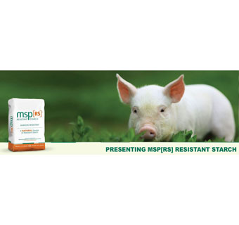 RESISTANT STARCH 50 LB BAG