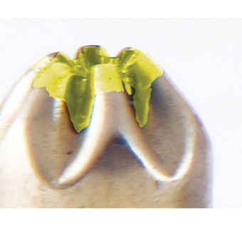 CASH® LOAD CARTRIDGE 0.25 CALIBRE 2 GRAIN YELLOW 50/PKG