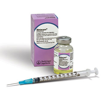 METACAM® INJECTABLE 5 MG/ML 10 ML (AGENCY) (RX)