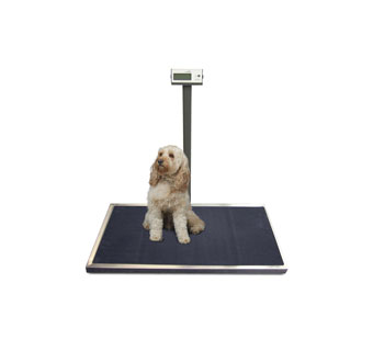 PLATFORM SCALE 330 LB 44 IN L X 22 IN W