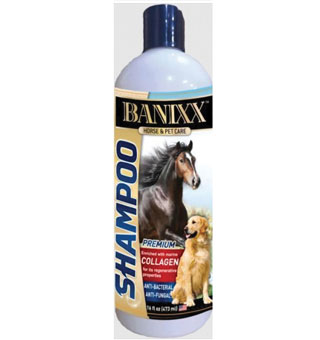 BANIXX MEDICATED SHAMPOO WITH MARINE COLLAGEN 16 OZ 1/PKG