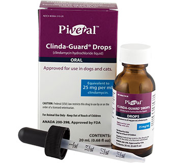 PIVETAL® CLINDA-GUARD® DROPS 25 MG/ML 20 ML BOTTLE (RX)