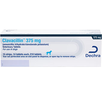 CLAVACILLIN® USP VETERINARY TABLETS 375 MG 210/BOX (RX)