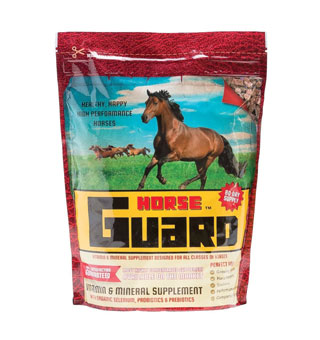 HORSE GUARD VITAMIN/MINERAL SUPPLEMENT PELLETS 10 LB
