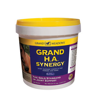 GRAND FLEX HA SYNERGY 10LB