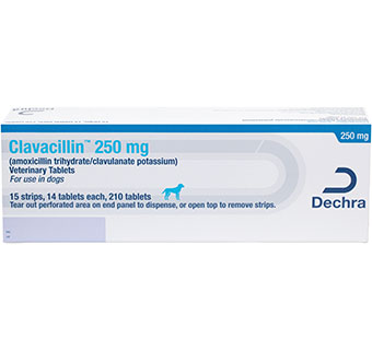 CLAVACILLIN® USP VETERINARY TABLETS 250 MG 210/BOX (RX)
