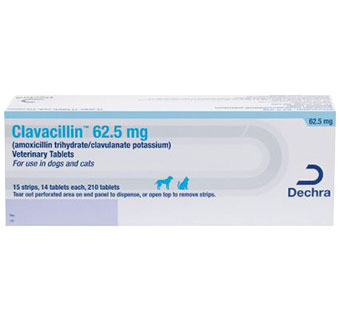 CLAVACILLIN® USP VETERINARY TABLETS 62.5 MG 210/BOX (RX)