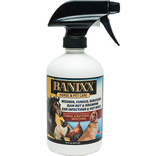 BANIXX  HORSE & PET CARE SPRAY 16 OZ 1/PKG