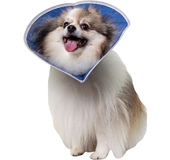 PIVETAL® RECOVERY II COLLARS 6-1/2 IN 1/PKG