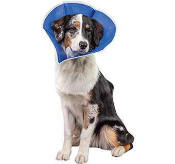 PIVETAL® RECOVERY II COLLARS 8 IN 1/PKG