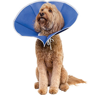 PIVETAL® RECOVERY II COLLARS 12 IN 1/PKG