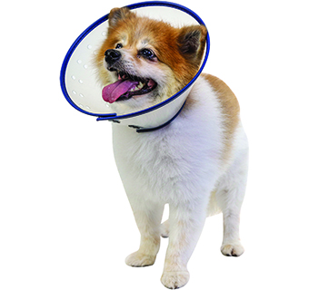 PIVETAL® CLEAR GUARD ELIZABETHAN COLLAR 7.5 CM 1/PKG