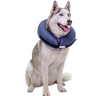PIVETAL® SNUG FIT INFLATABLE ELIZABETHAN COLLAR XXLARGE 1/PKG