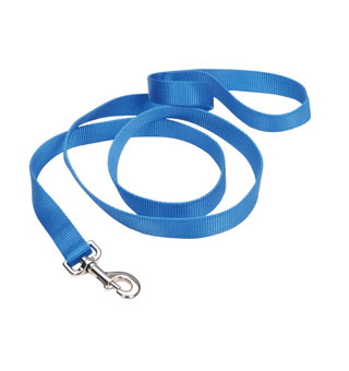 00306 SINGLE-PLY TRAINING DOG LEASH NYLON 3/8 IN X 6 FT BLUE LAGOON