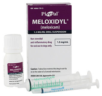 PIVETAL® MELOXIDYL® (MELOXICAM) ORAL SUSPENSION 1.5 MG/ML 10 ML 1/PKG (RX)