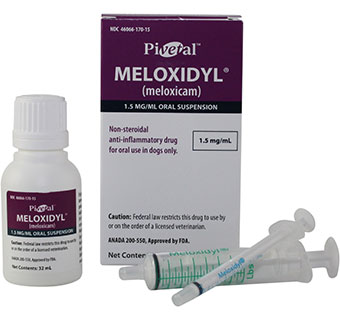 PIVETAL® MELOXIDYL® (MELOXICAM) ORAL SUSPENSION 1.5 MG/ML 32 ML 1/PKG (RX)