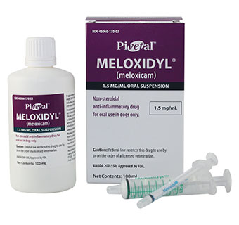 PIVETAL® MELOXIDYL® (MELOXICAM) ORAL SUSPENSION 1.5 MG/ML 100 ML 1/PKG (RX)