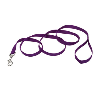 00906 SINGLE-PLY TRAINING DOG LEASH NYLON 1 IN X 6 FT PURPLE