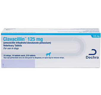 CLAVACILLIN® USP VETERINARY TABLETS 125 MG 210/BOX (RX)