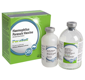 PARASAIL HAEMOPHILUS PARASUIS VACCINE 50 DOSE/50 ML