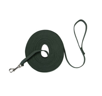 TRAIN RIGHT® 00520 DOG LEASH COTTON WEB 5/8 IN X 20 FT GREEN