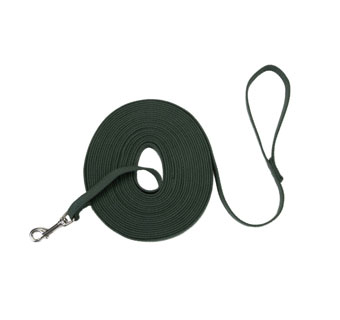 TRAIN RIGHT® 00530 DOG LEASH COTTON WEB 5/8 IN X 30 FT GREEN