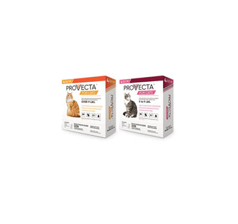 PROVECTA® IMIDACLOPRID/PYRIPROXYFEN FLEA PROTECTOR 5-9 LB CAT 4/PKG 4 PKG/CS