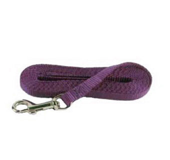 381 SINGLE LAYER PUPPY LEASH NYLON 3/8 IN X 6 FT PURPLE