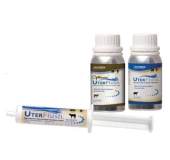 UTERFLUSH UTERINE CARE TUBE 30 ML